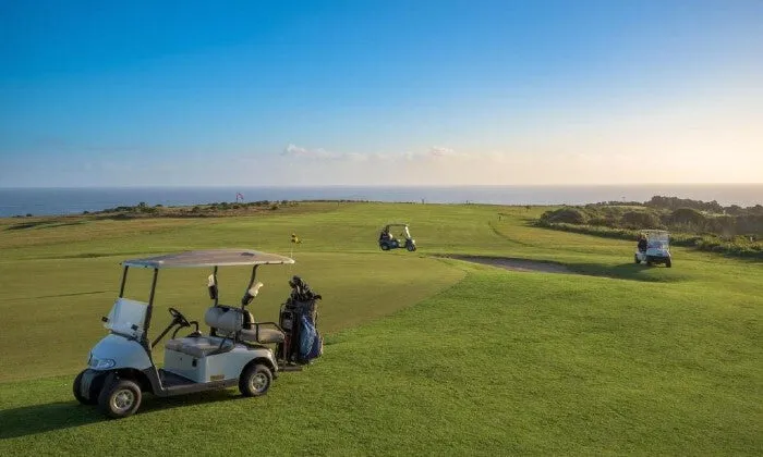 2 or 4 Ball Golf Experience with Carts and optional Meals at Fynbos Golf & Country Estate