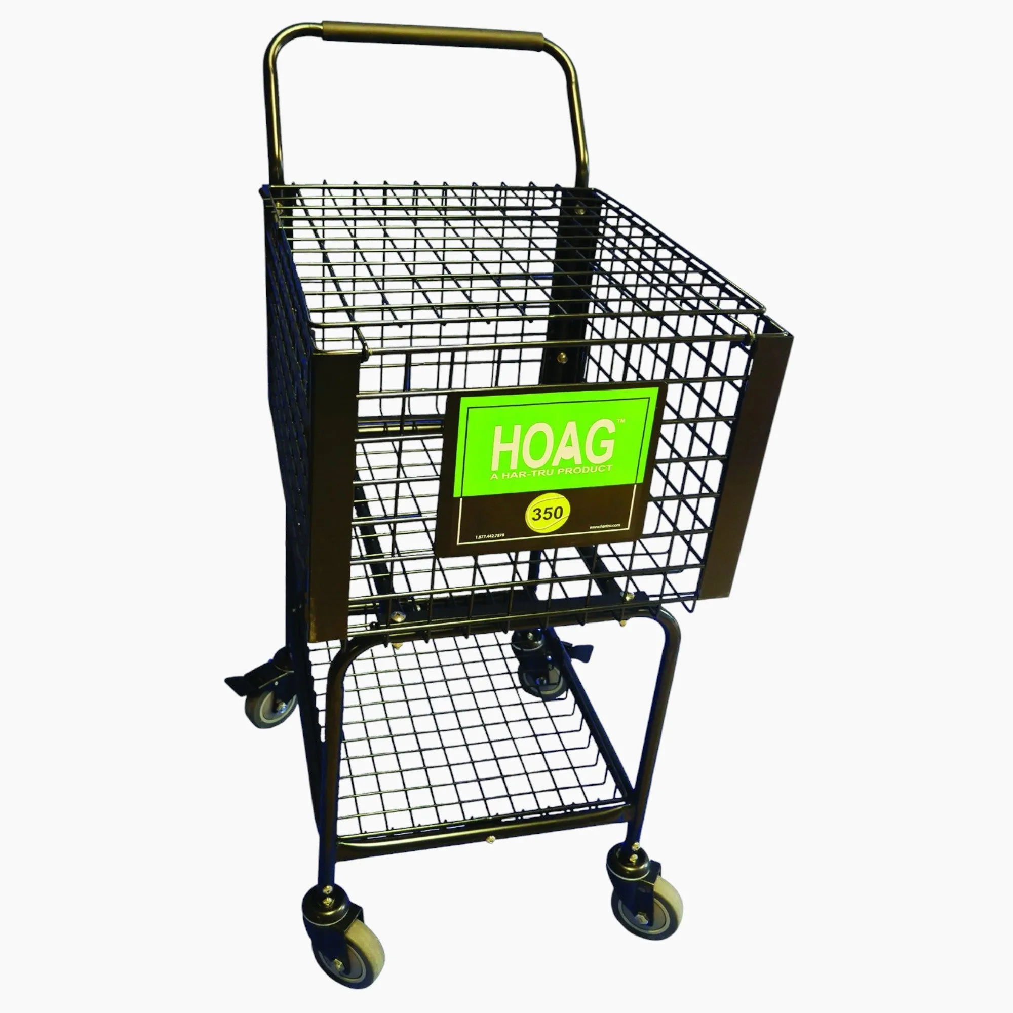 Hoag Teaching Cart