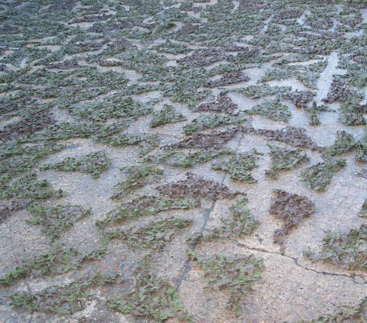 Large Woodland Camo Net - British Army Surplus