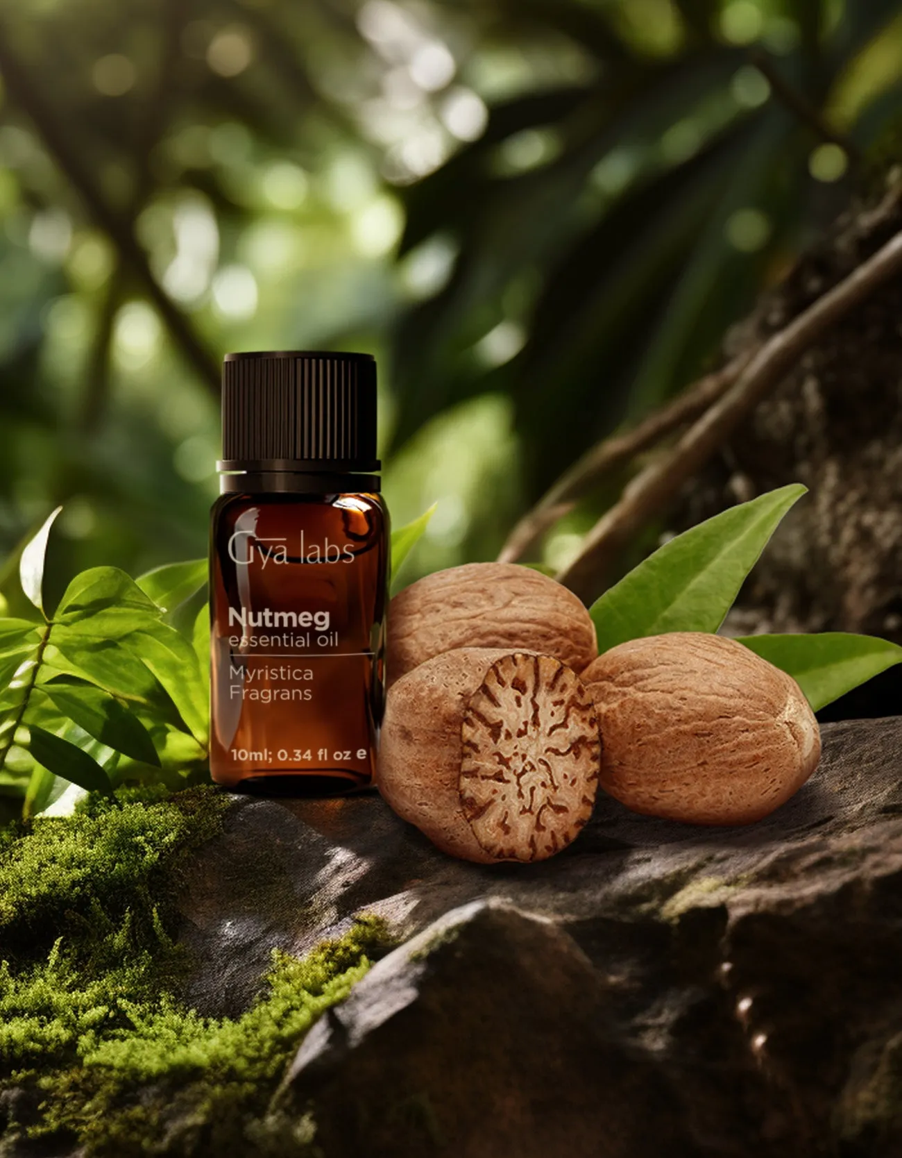 Nutmeg Oil